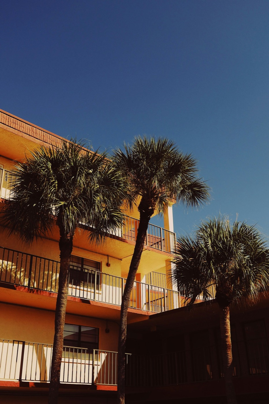 Жилой дом с пальмами в Boca Raton, Флорида